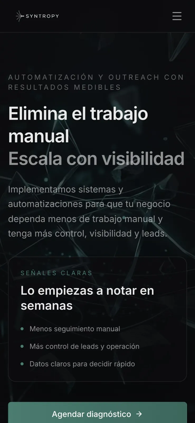 El mismo sitio de Syntropy visto en un teléfono
